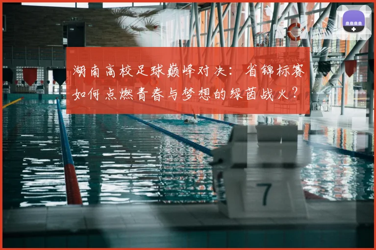 湖南高校足球巅峰对决:省锦标赛如何点燃青春与梦想的绿茵战火?